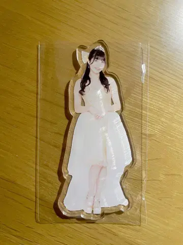 스즈키 시노 아크릴 플레이트 도쿄 여자 프로레슬링