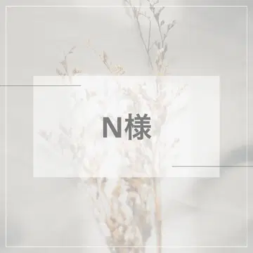 N님