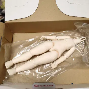 TinyFOX 1/6 바디 이염 있음 화이트 스킨