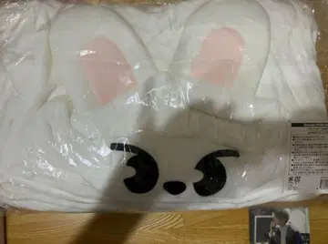 SKZOO Lee 비트