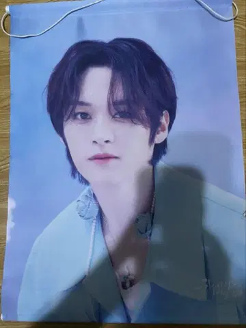 스키즈 리노 태피스트리