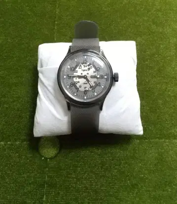 TIMEX 빔즈 콜라보 실리콘 밴드