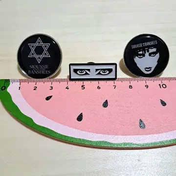 수지 & 더 밴시즈 수지 수 펑크 뉴 웨이브 핀 배지 3개