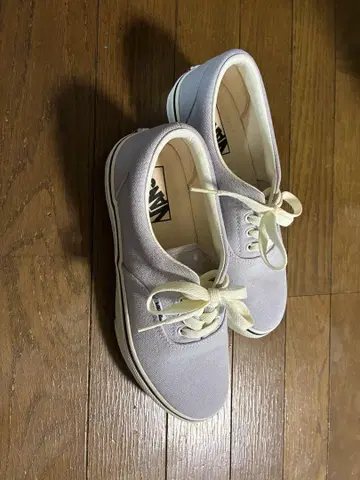 VANS 라이트 그레이 로우 컷 스니커즈
