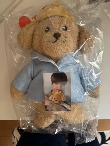 SEVENTEEN 세부치 아티스트 메이드 도어 도겸 봉제 인형