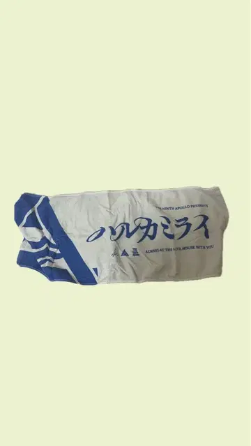 하루카미라이 타월