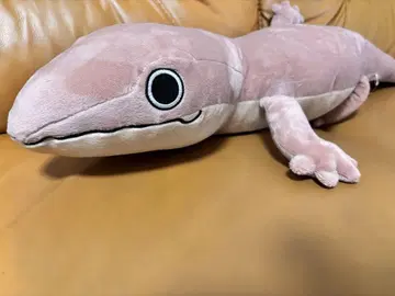 거대 도마뱀 봉제 인형 희귀 동물 포획 시리즈