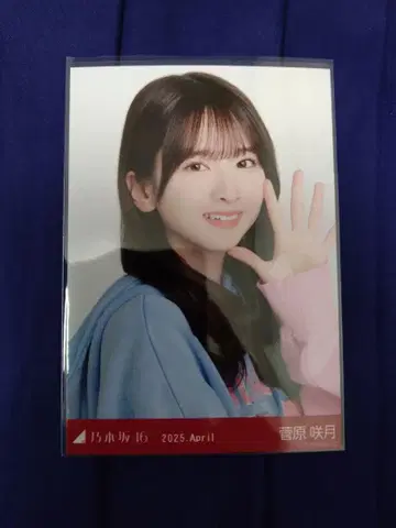 노기자카46 스가하라 사츠키 칼리지 2025.4 요리