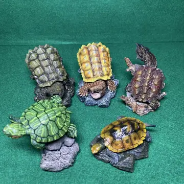 생물대도감 미니 컬렉션 거북이 전 5종