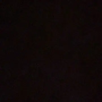 파밀리아 스크런치