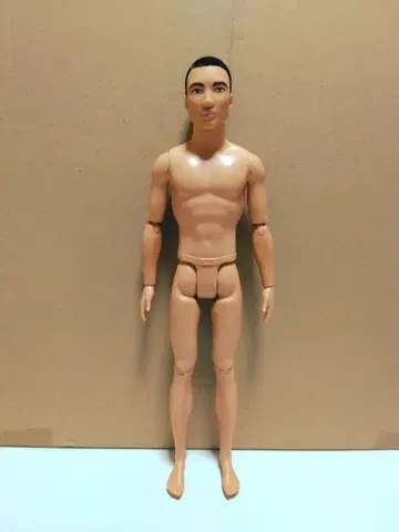 움직이는 바비 켄 시그니처 룩과 엑스트라 플라이 켄