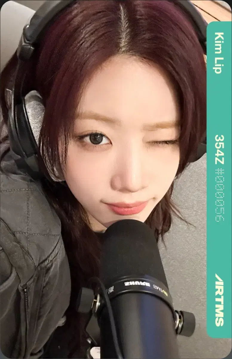 ARTMS 김립 오브젝트 C354Z