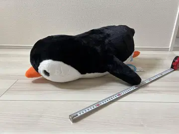 펭귄 아일랜드 수영 봉제 인형 약 60cm