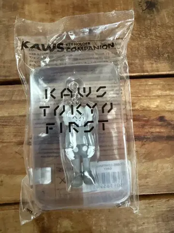 KAWS Companion Gray 키링