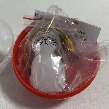 우리 아이의 케다마다 하치와레