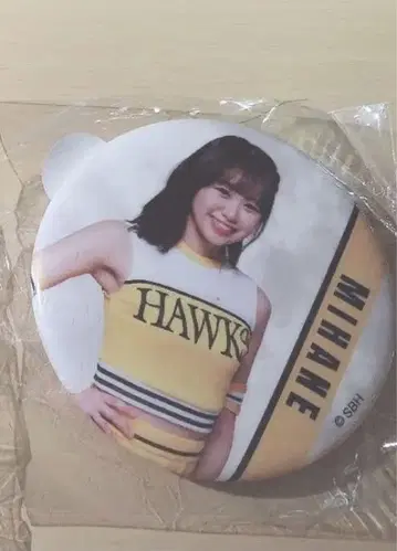 와카타카 가챠 허니즈 MIHANE 2개 세트