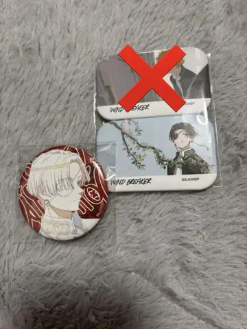 WINDBREAKER TSUTAYA 소호 슌히 캔뱃지
