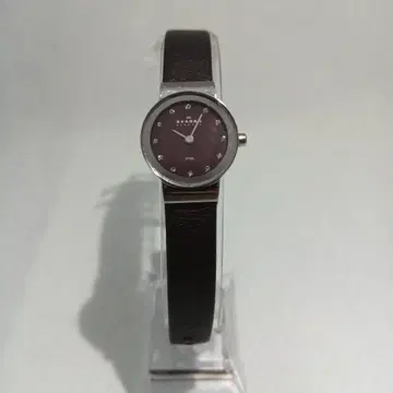 Skagen Denmark. 여성용 시계, 작동 제품, 심플