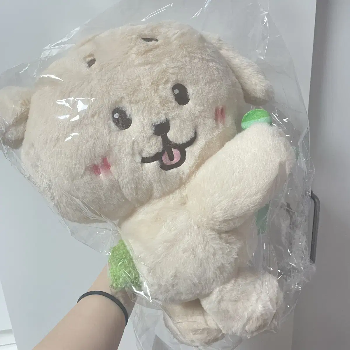 직거래가능)위시돌 미니돌 댕트리버 대영 재희 가방 로그인 엠디 굿즈 양도