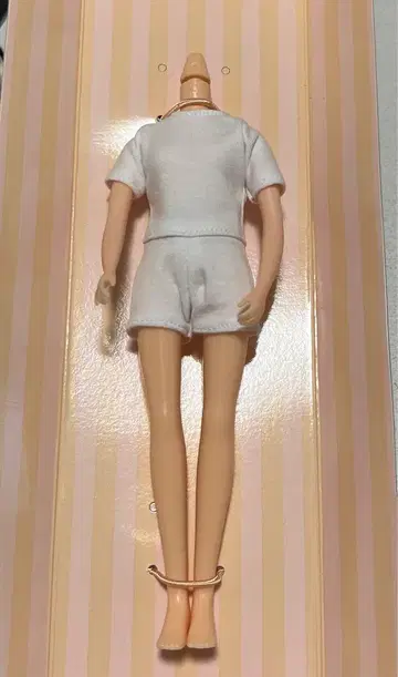 리카짱 캐슬 제 바디만