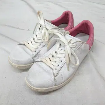 LACOSTE 라코스테 CARNABY EVO 24.5cm