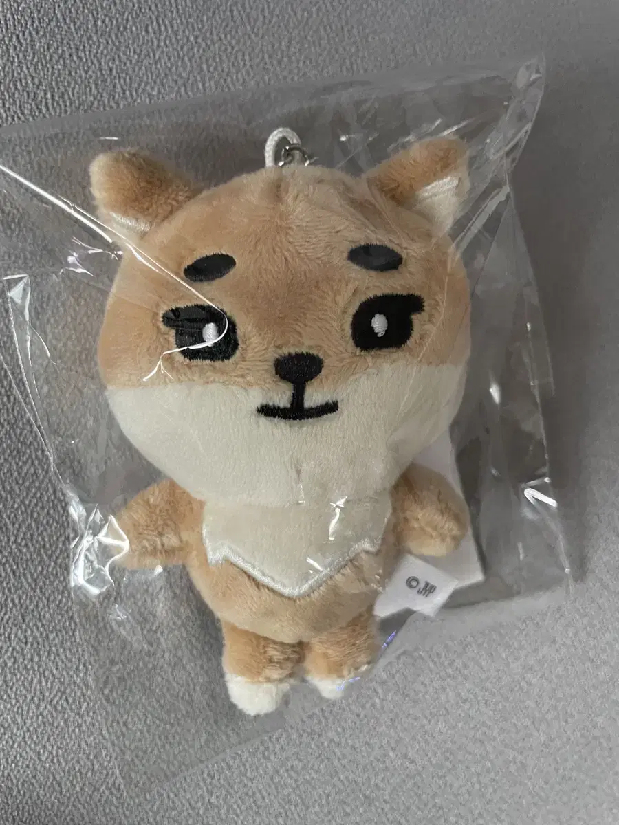 K Back Charm (DAY6 Japanese MD) WTS