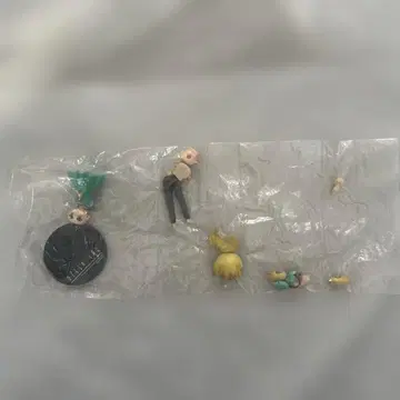 매미가 울기 시작할 무렵