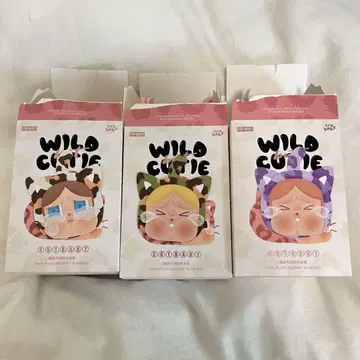 3개 세트 crybaby wild but cutie 크라이베이비 고양이