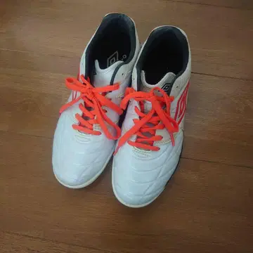 엄브로 25.5cm 트레이닝 슈즈 축구