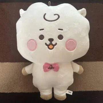 BTS 남코 한정판 RJ 봉제 인형