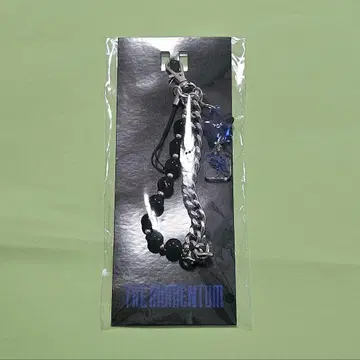 NCT127 팬 라이트 스트랩 헤찬