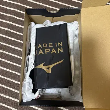 모레리아 2 일본
