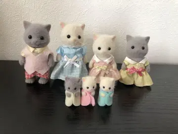 실바니아 페르시아 고양이 가족