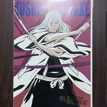BLEACH WORLD 미니게임 A3 포스터 우타케 토시로