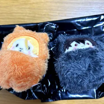기븐 바다로 싸개 타피누이 우게츠 & 춘수 세트입니다!