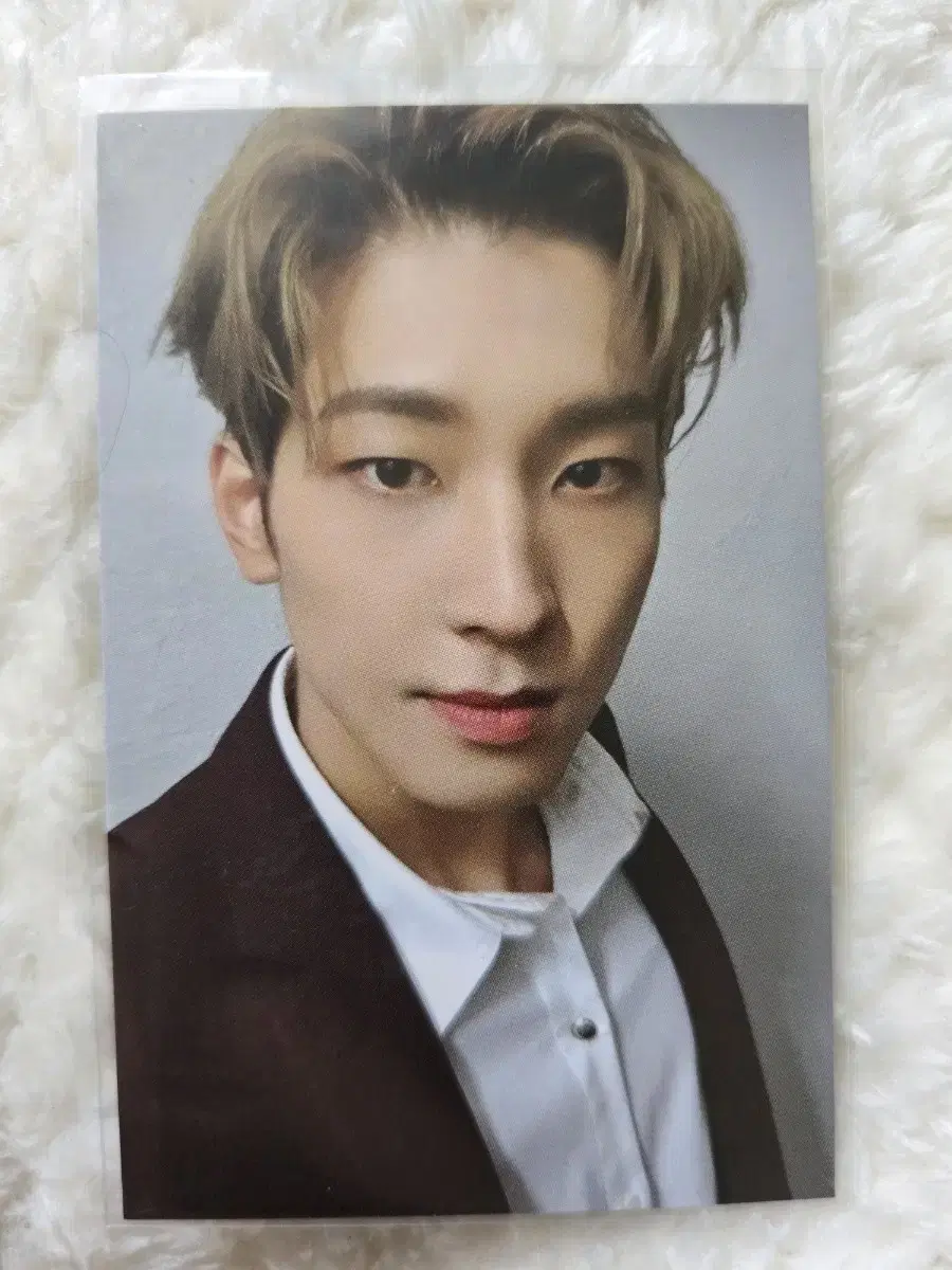 세븐틴 비럴스윗 트레카 스페셜 원우 판매