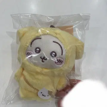 치이카와 산리오 콜라보 토끼