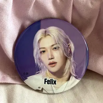 straykids 팝업 랜덤 캔뱃지 필릭스