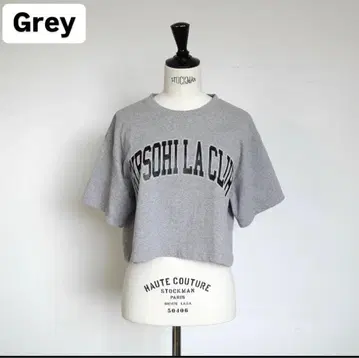 Gypsohila 지프소피아 크롭 지프소피아 클럽 T 그레이