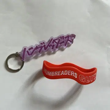 함브레더스 라바반 키링 보라색