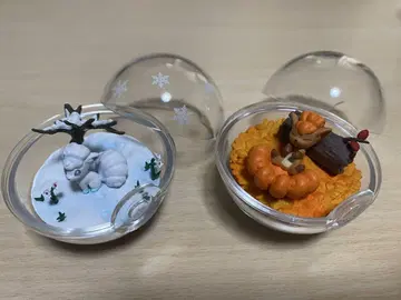 포켓몬스터 테라리움 컬렉션 로콘 애로우라 로콘