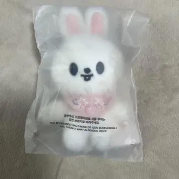 straykids 5'CLOCK 10cm 봉제 인형 펜미 Lee 비트