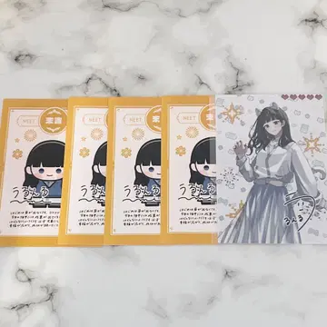 니트부 우룬루 브로마이드 묶음 판매