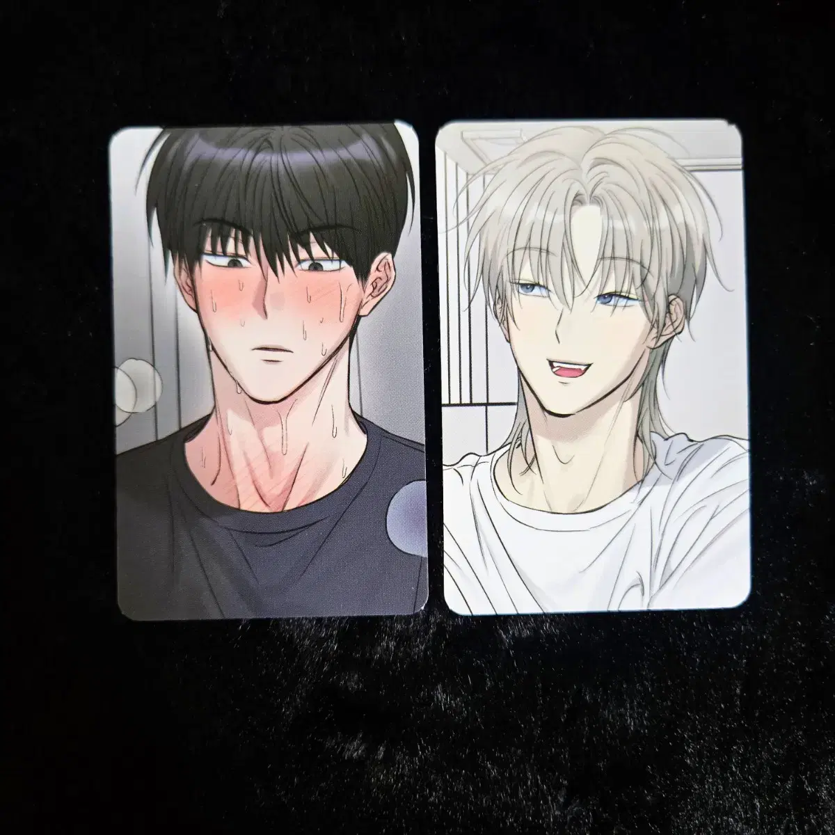 No returns after use, collaboration cafe photocard, Savahn Bool, collaboration cafe pre-order benefit poca BL