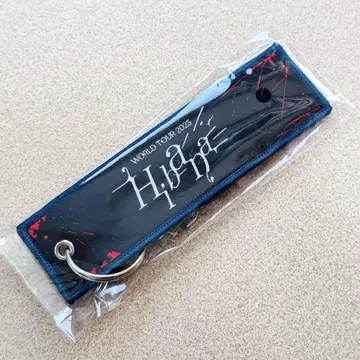 WORLDTOUR2025 Hibana Ado 트래블 택