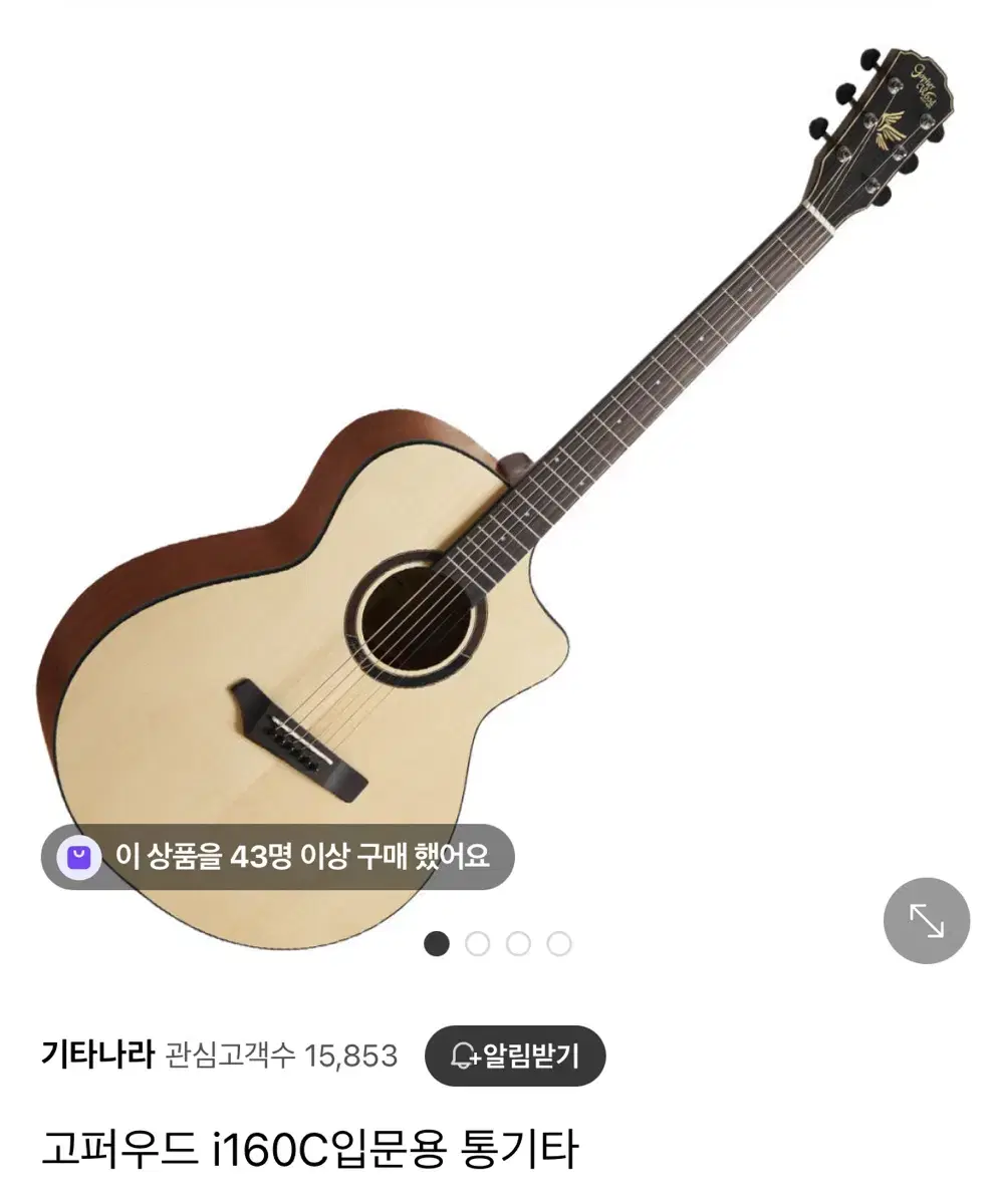 Gopherwood 160C Entry-Level Acoustic Guitar