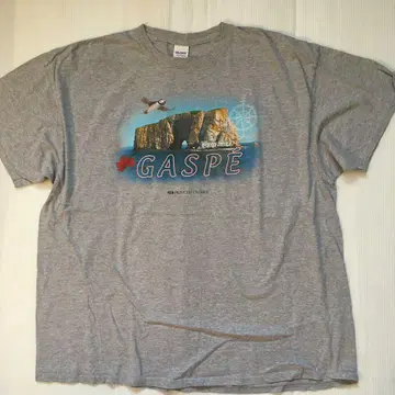 길단 GILDAN 2XL 프린트 티셔츠 그레이