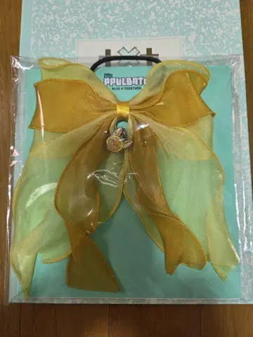 TXT PPULBATU 팝업 헤어 타이
