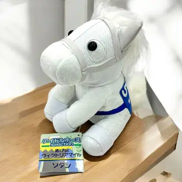 소다시 아이돌 호스 셀렉션 빅토리아 마일 M 사이즈