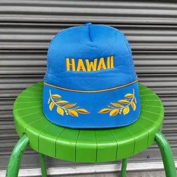 빈티지 HAWAII 하와이 스냅백 모자 메쉬 캡